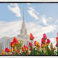 Ogden Flowers