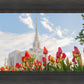 Ogden Flowers