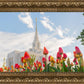 Ogden Flowers