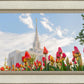 Ogden Flowers