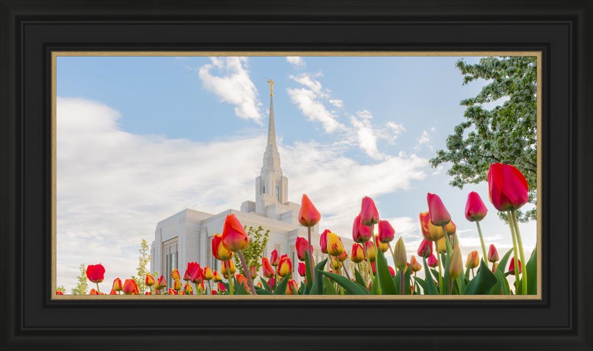 Ogden Flowers