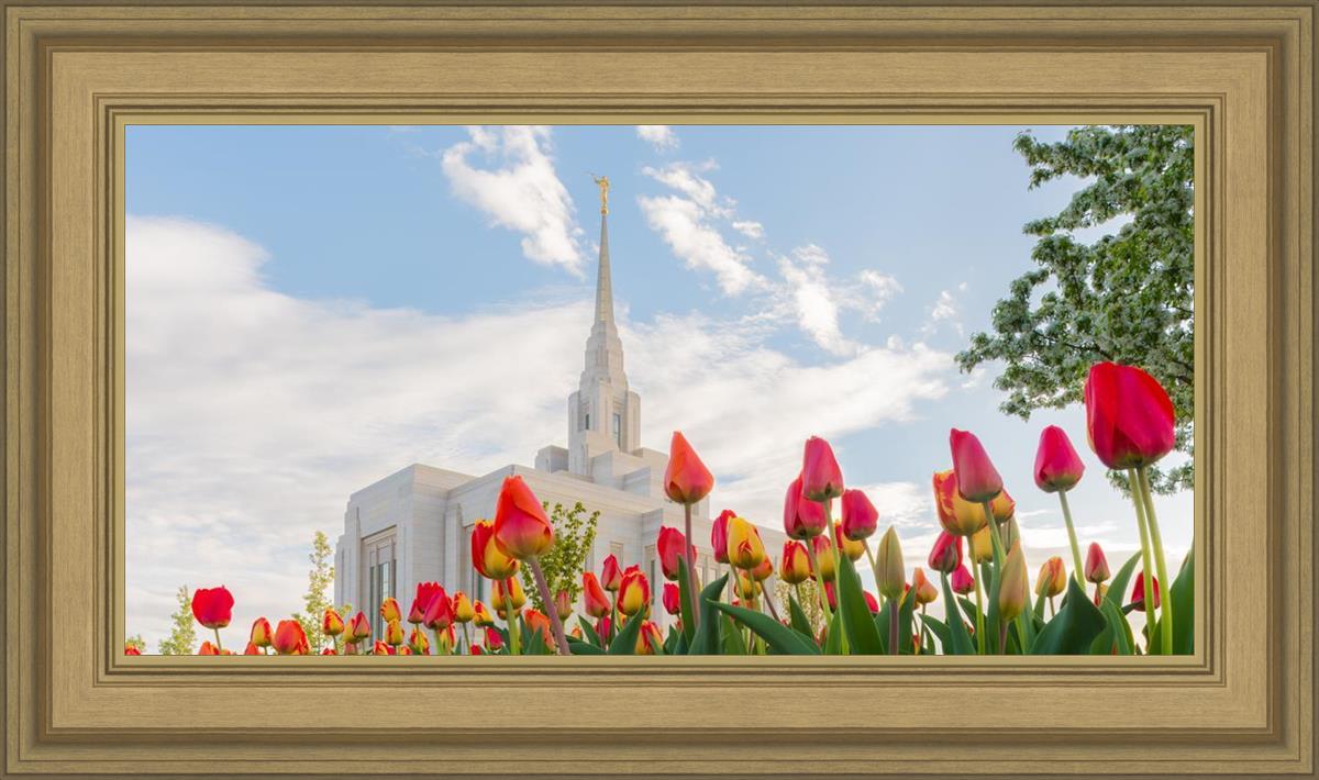 Ogden Flowers