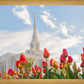 Ogden Flowers