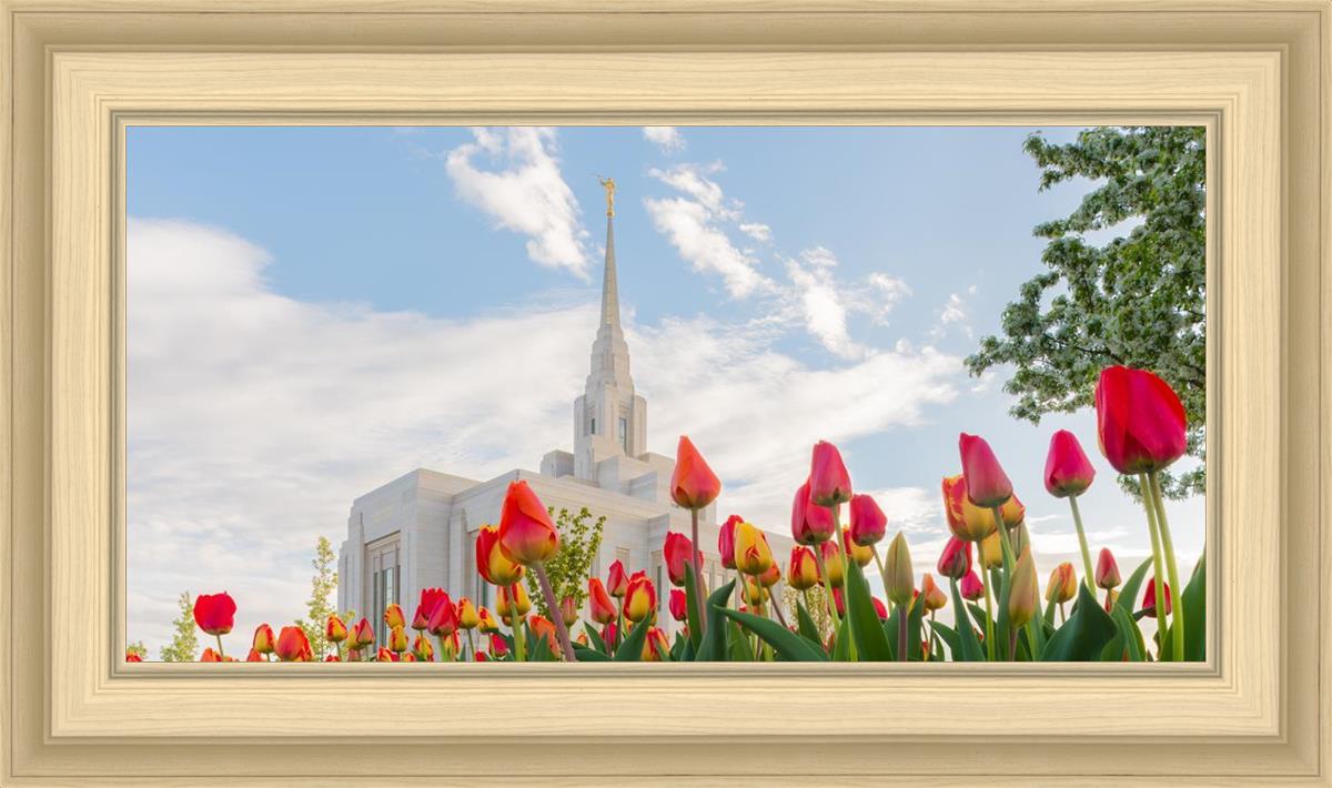 Ogden Flowers