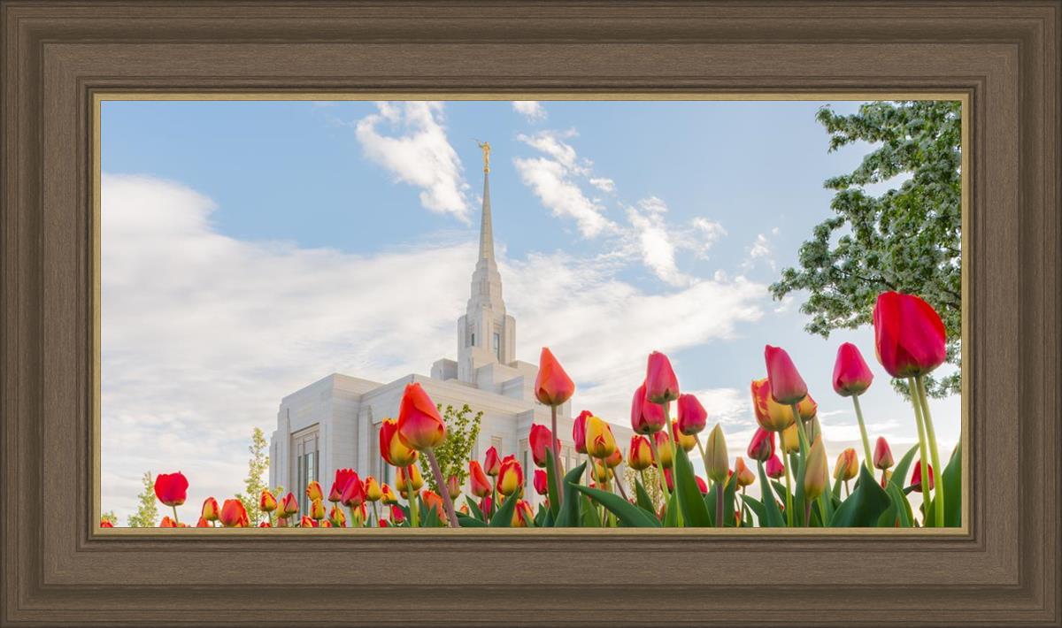 Ogden Flowers