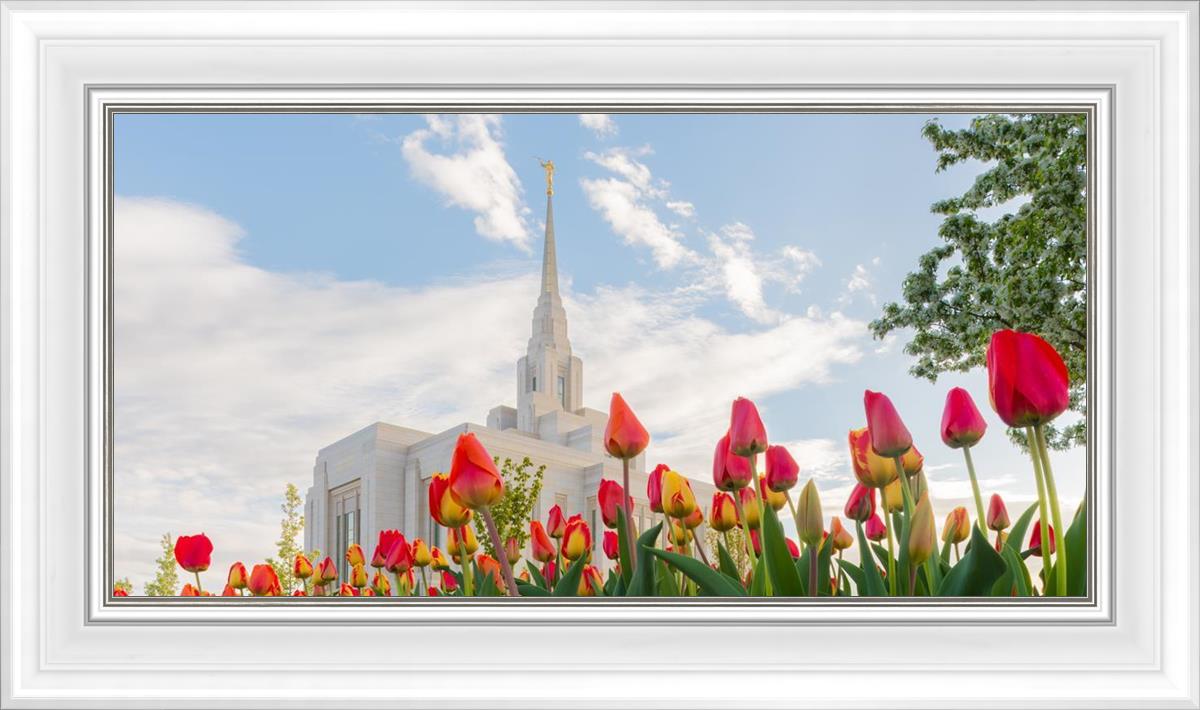 Ogden Flowers