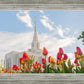 Ogden Flowers