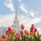 Ogden Flowers