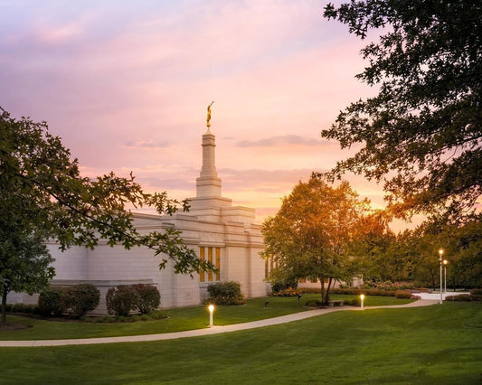 Palmyra Oh How Lovely was the Morning Gallery Wrap