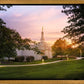 Palmyra Oh How Lovely was the Morning