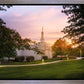 Palmyra Oh How Lovely was the Morning