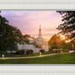 Palmyra Oh How Lovely was the Morning