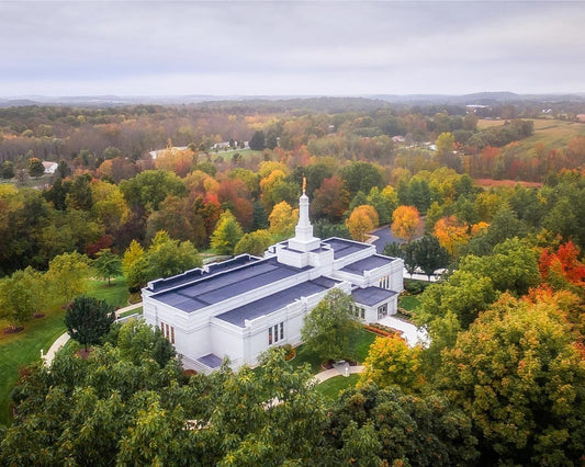 Palmyra and Sacred Grove Aerial Gallery Wrap
