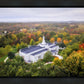 Palmyra and Sacred Grove Aerial