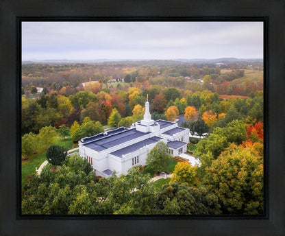Palmyra and Sacred Grove Aerial