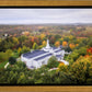 Palmyra and Sacred Grove Aerial