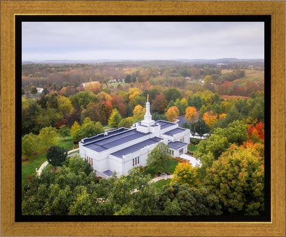 Palmyra and Sacred Grove Aerial