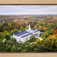 Palmyra and Sacred Grove Aerial