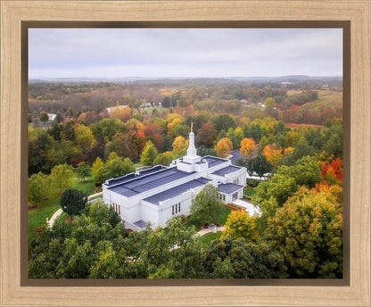 Palmyra and Sacred Grove Aerial