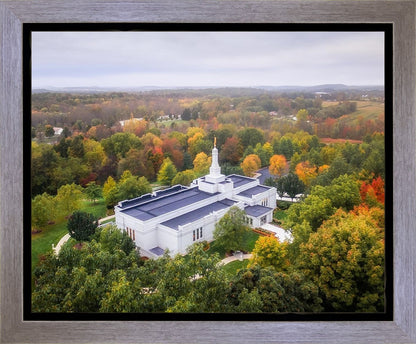 Palmyra and Sacred Grove Aerial