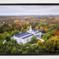 Palmyra and Sacred Grove Aerial