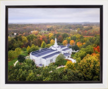 Palmyra and Sacred Grove Aerial