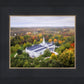Palmyra and Sacred Grove Aerial