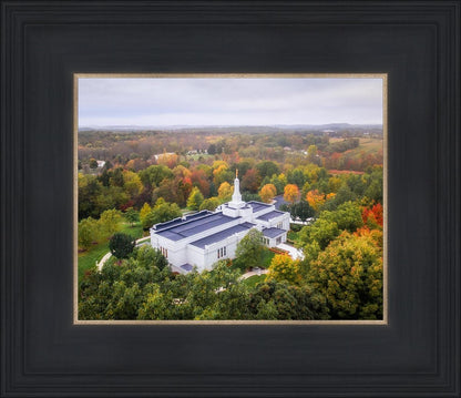 Palmyra and Sacred Grove Aerial