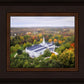 Palmyra and Sacred Grove Aerial