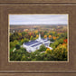 Palmyra and Sacred Grove Aerial