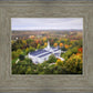 Palmyra and Sacred Grove Aerial
