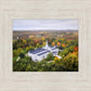 Palmyra and Sacred Grove Aerial