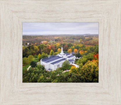 Palmyra and Sacred Grove Aerial