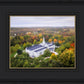 Palmyra and Sacred Grove Aerial