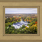 Palmyra and Sacred Grove Aerial