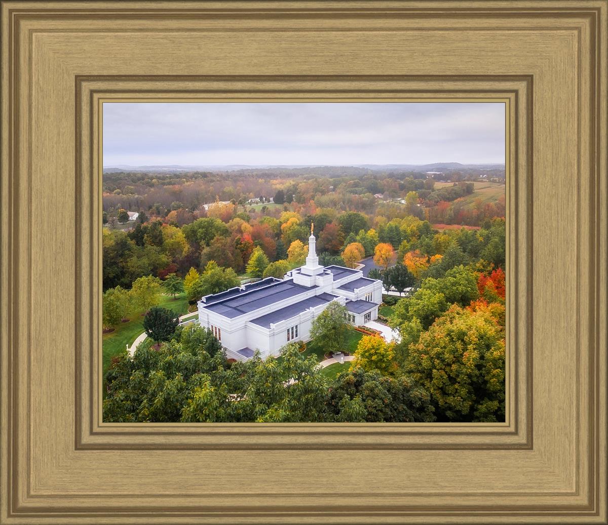 Palmyra and Sacred Grove Aerial