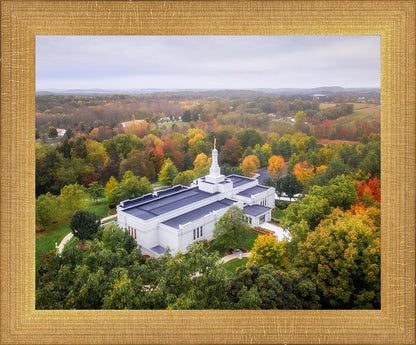 Palmyra and Sacred Grove Aerial