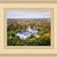 Palmyra and Sacred Grove Aerial
