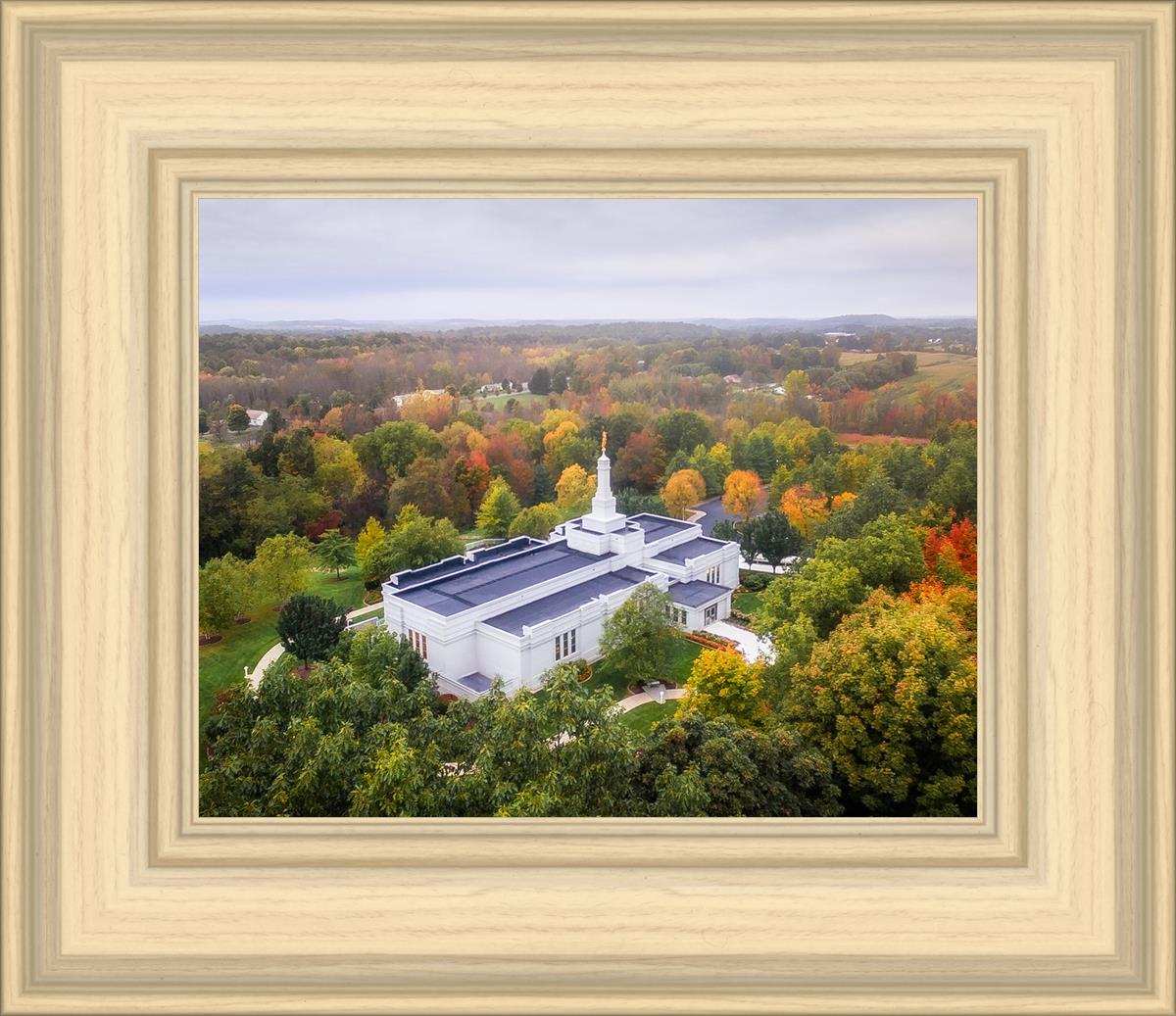 Palmyra and Sacred Grove Aerial