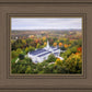 Palmyra and Sacred Grove Aerial