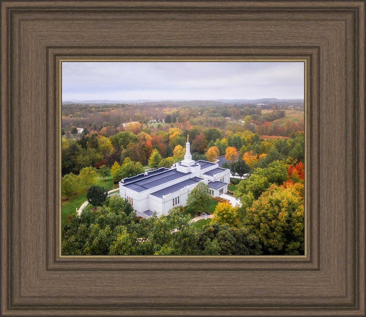 Palmyra and Sacred Grove Aerial