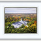 Palmyra and Sacred Grove Aerial