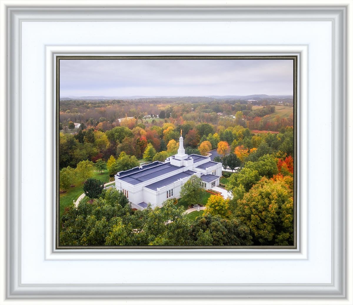 Palmyra and Sacred Grove Aerial