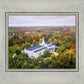 Palmyra and Sacred Grove Aerial