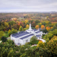 Palmyra and Sacred Grove Aerial