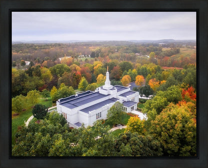 Palmyra and Sacred Grove Aerial