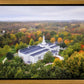Palmyra and Sacred Grove Aerial