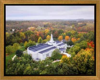 Palmyra and Sacred Grove Aerial