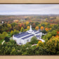 Palmyra and Sacred Grove Aerial
