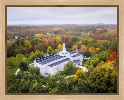 Palmyra and Sacred Grove Aerial